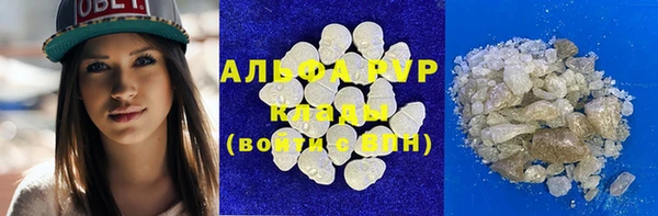 стаф Горнозаводск