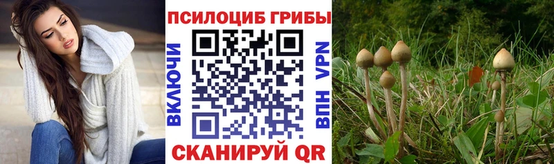 Галлюциногенные грибы мицелий Мещовск